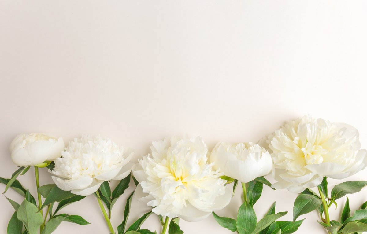 Альбико SP 044