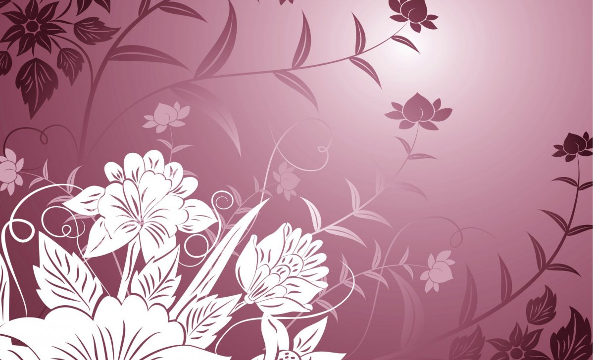 Букет космеи белый