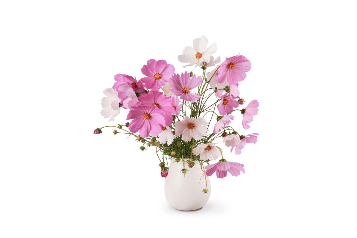 Минималистичные цветочные композиции