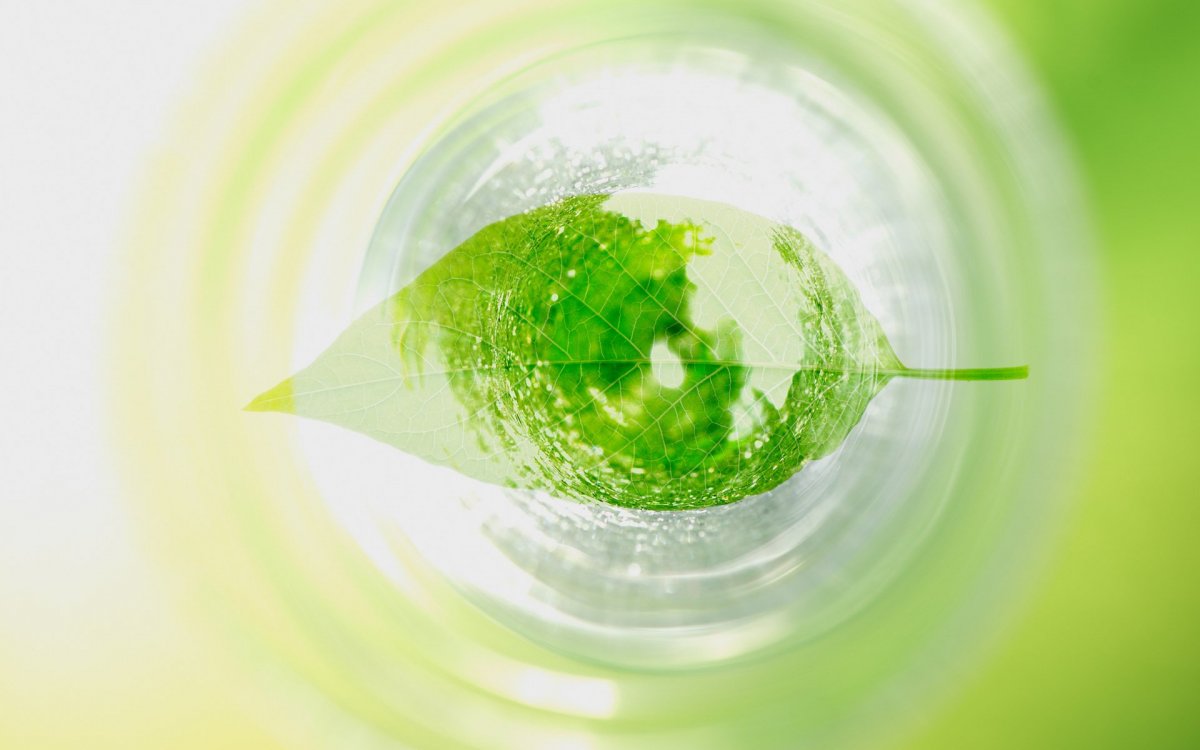 Зеленый образ жизни