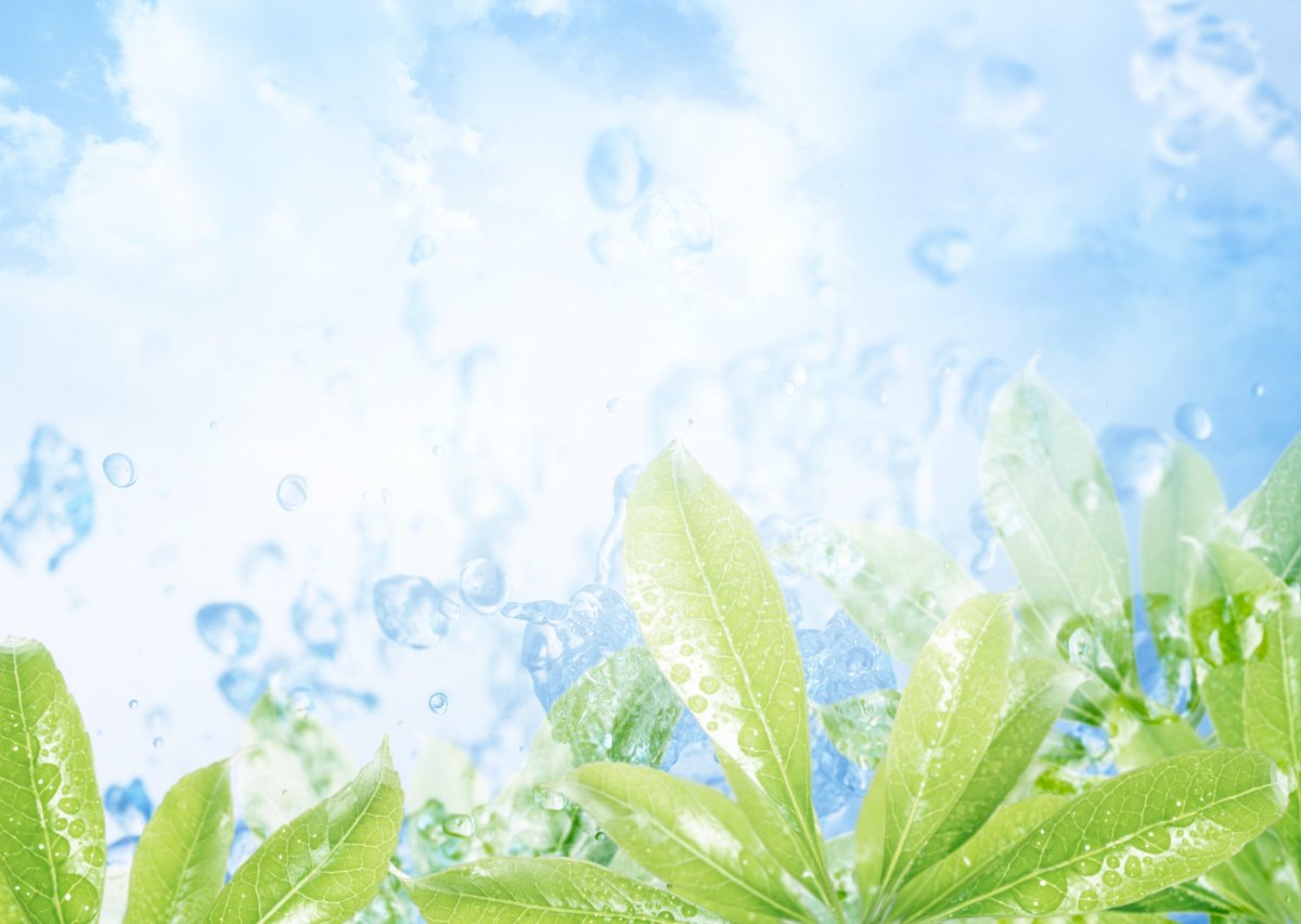 Летний фон для презентации