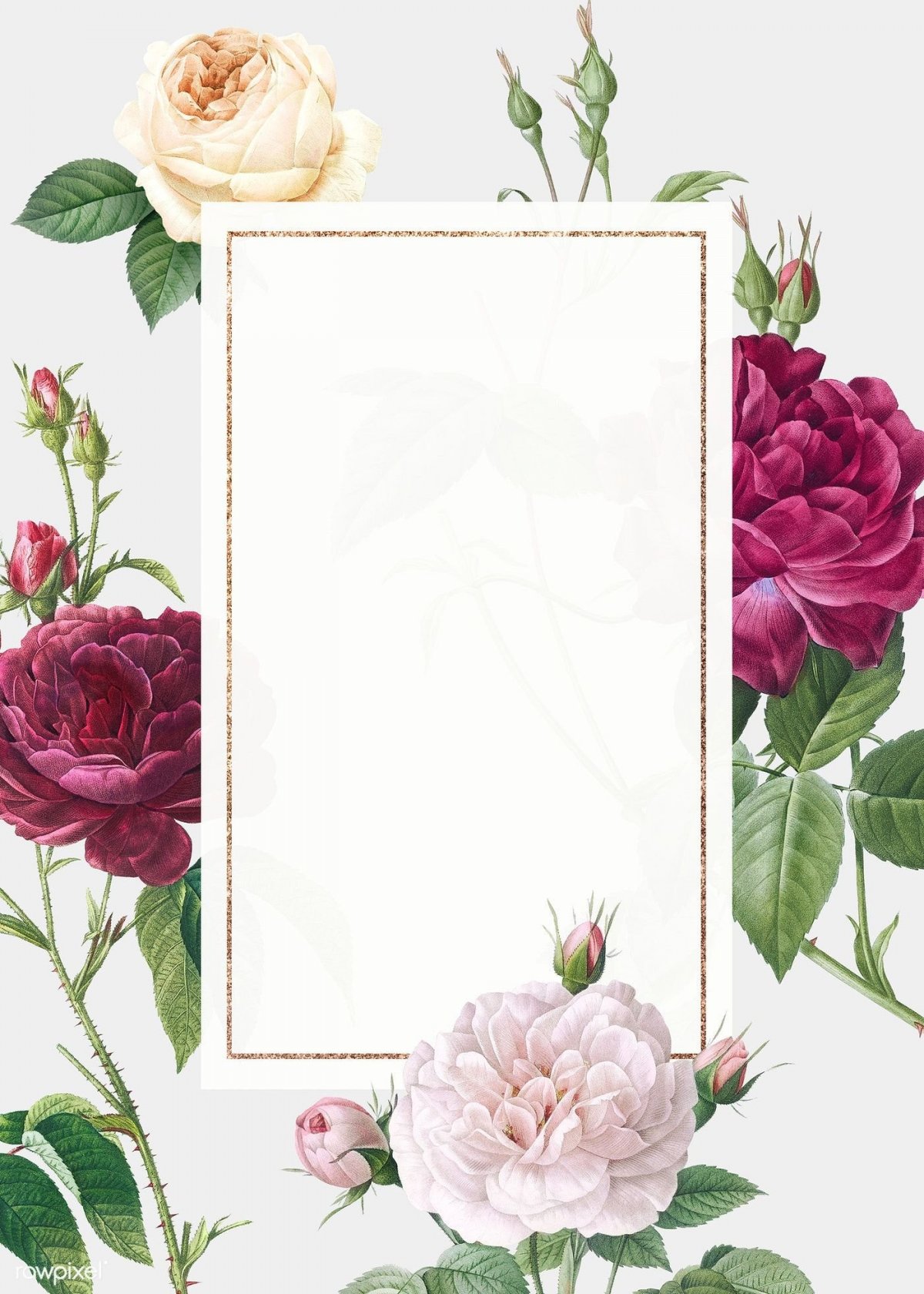 Пионы рамка