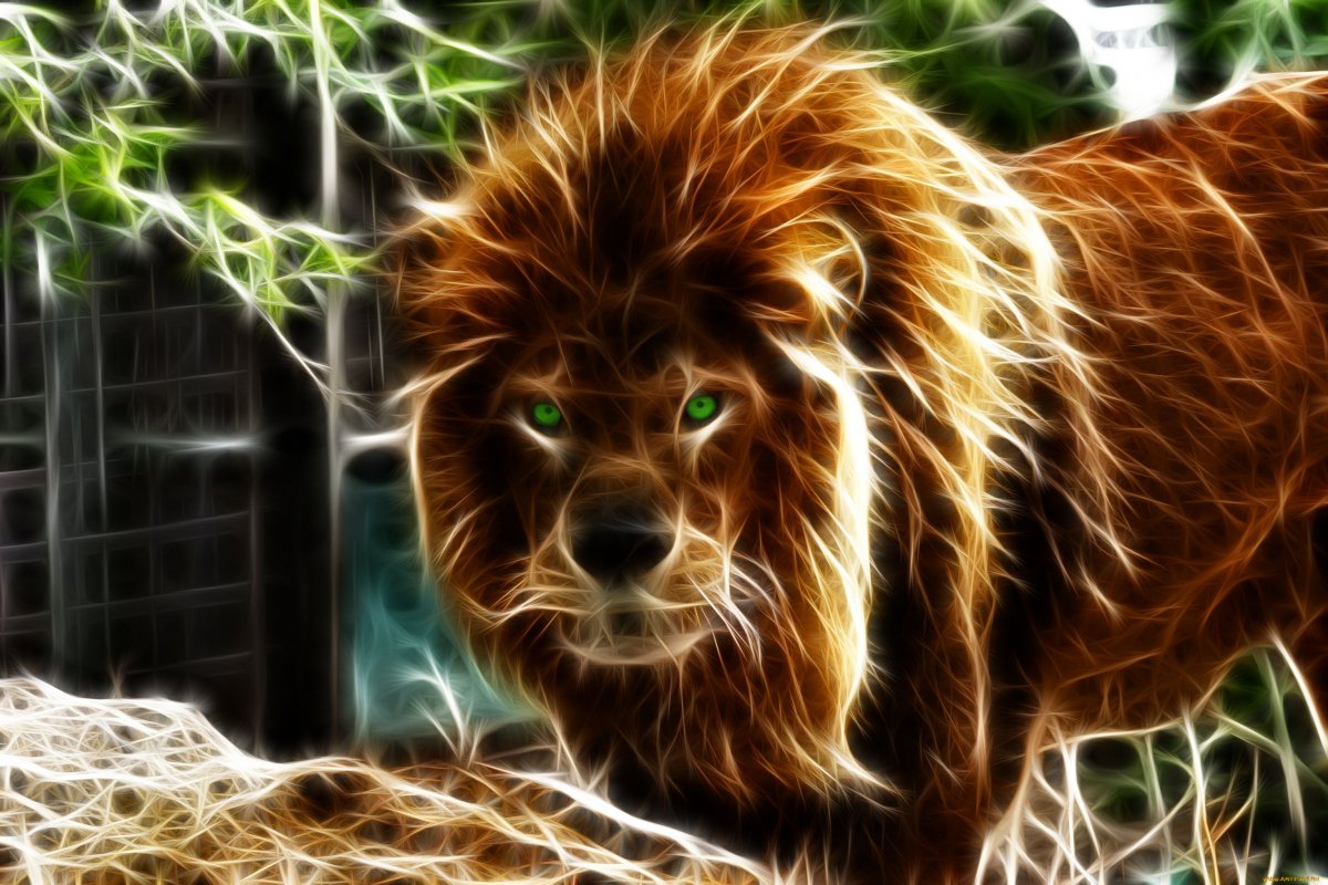 Фотообои Лев