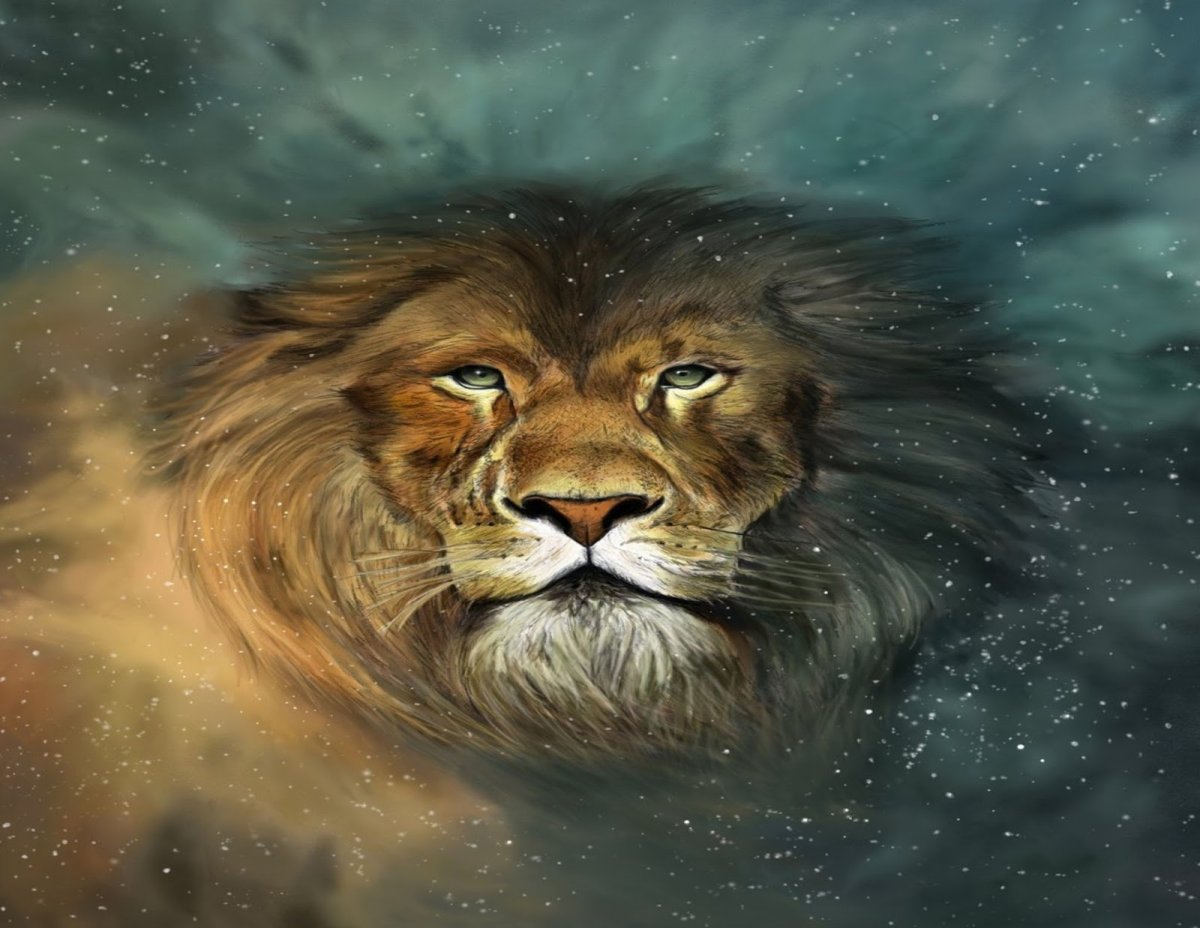 Лев обои на рабочий стол 1920х1080