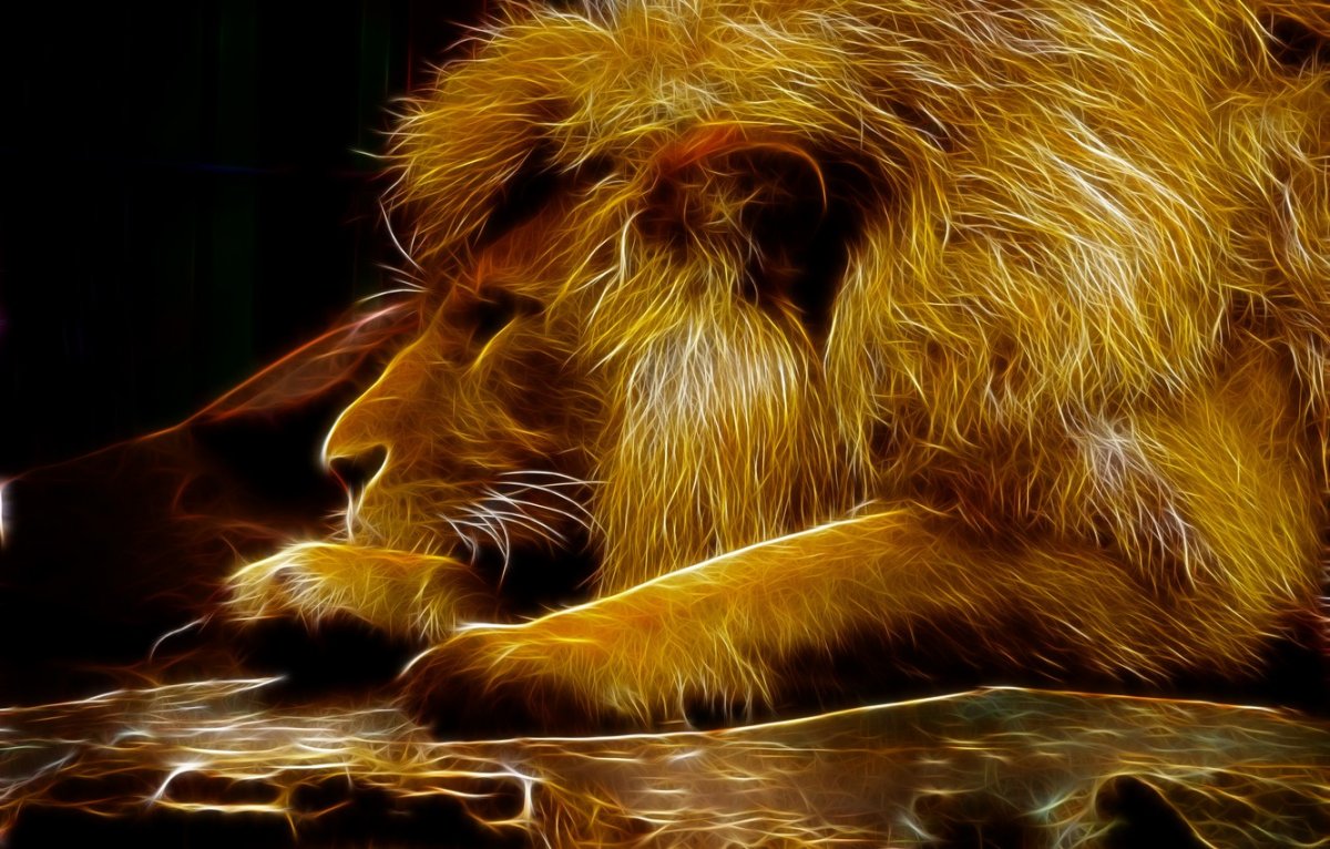 Заставка на рабочий стол Лев