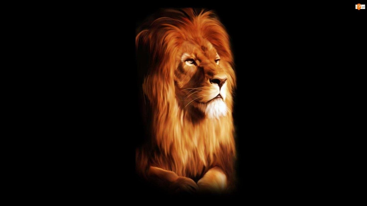 Лев на фоне человека