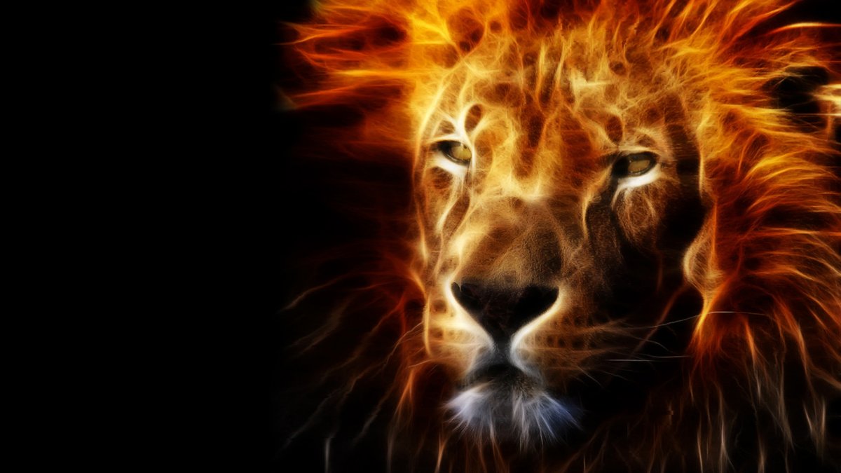 Лев обои