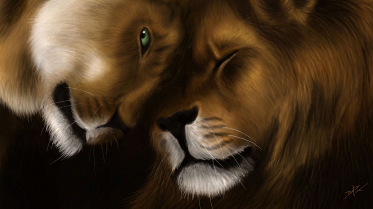 Обои на рабочий стол Лев