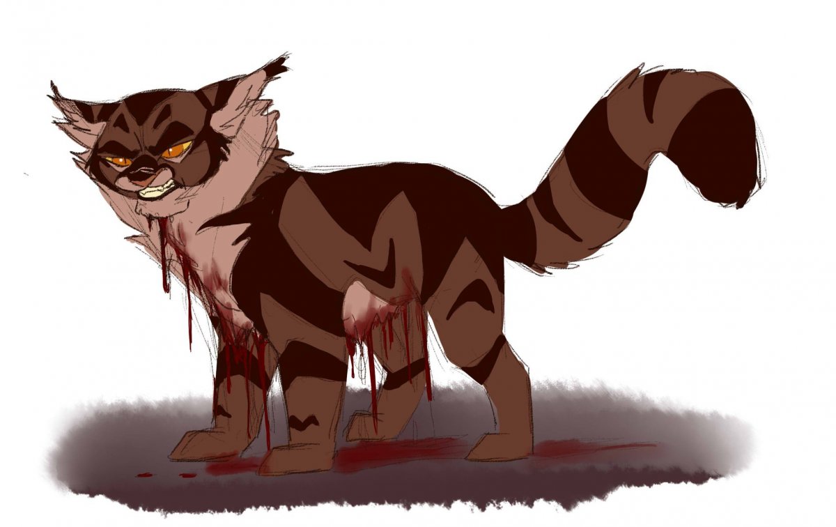 Коты Воители ежевика и Звездоцап