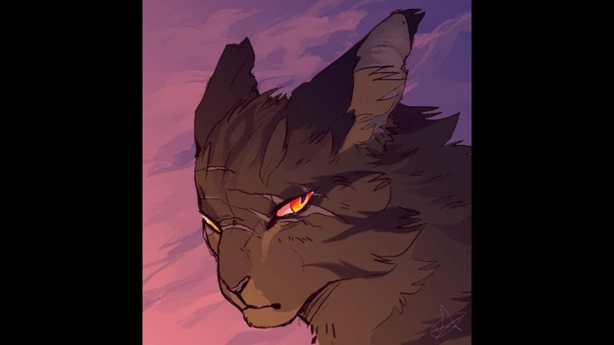 Коты Воители Звездоцап