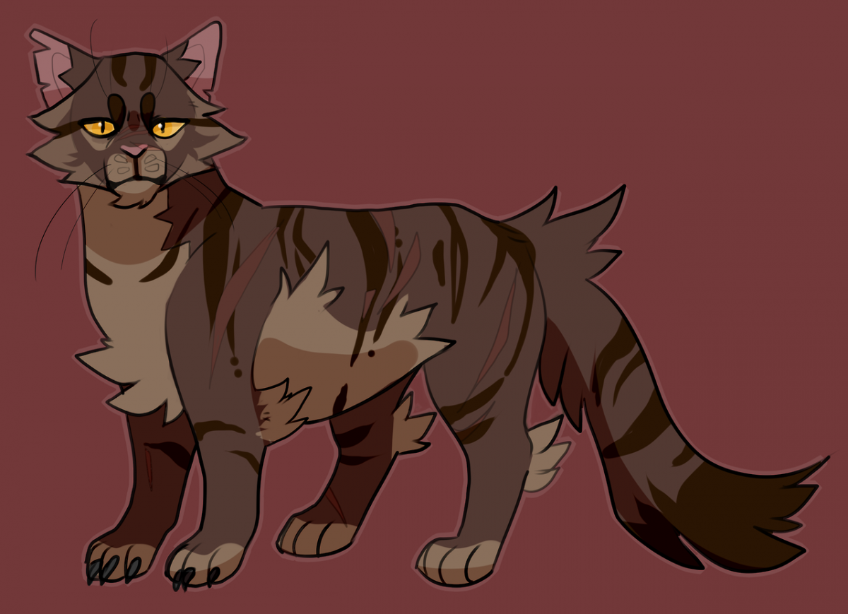 Коты Воители семья Звездоцапа