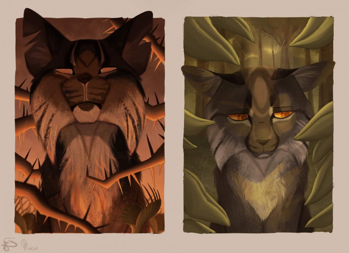 Коты Воители Звездоцап