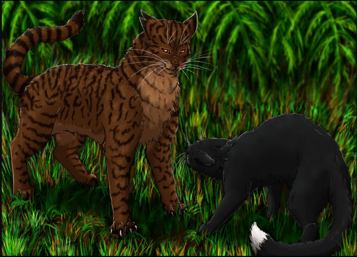 Коты Воители Звездоцап