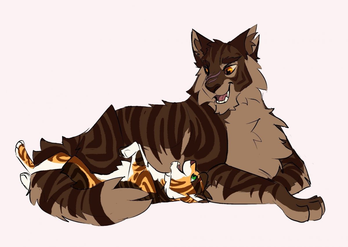 Коты Воители Звездоцап семья