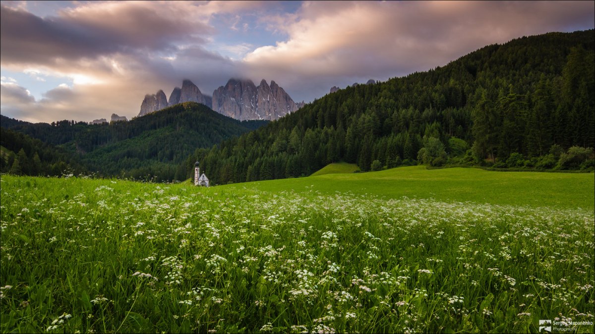 Швеция Альпийские Луга