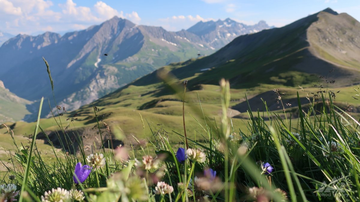 Альпийские Луга красная Поляна