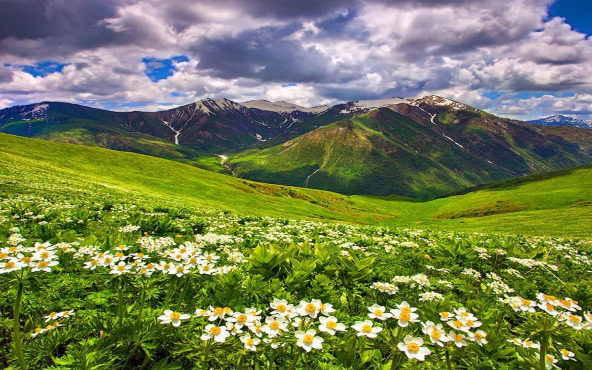 Альпийские Луга Дагестана