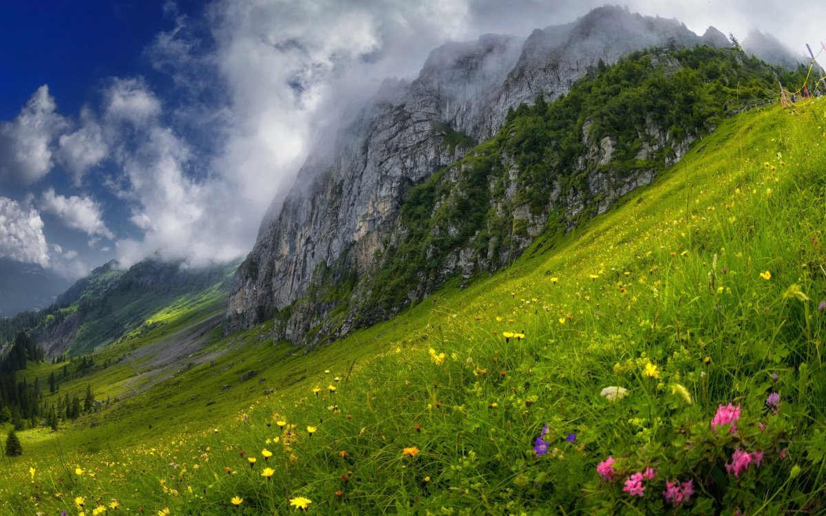 Альпийские Луга в Аршане