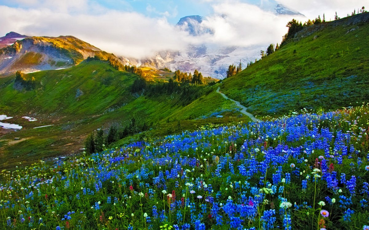 Утро в горах