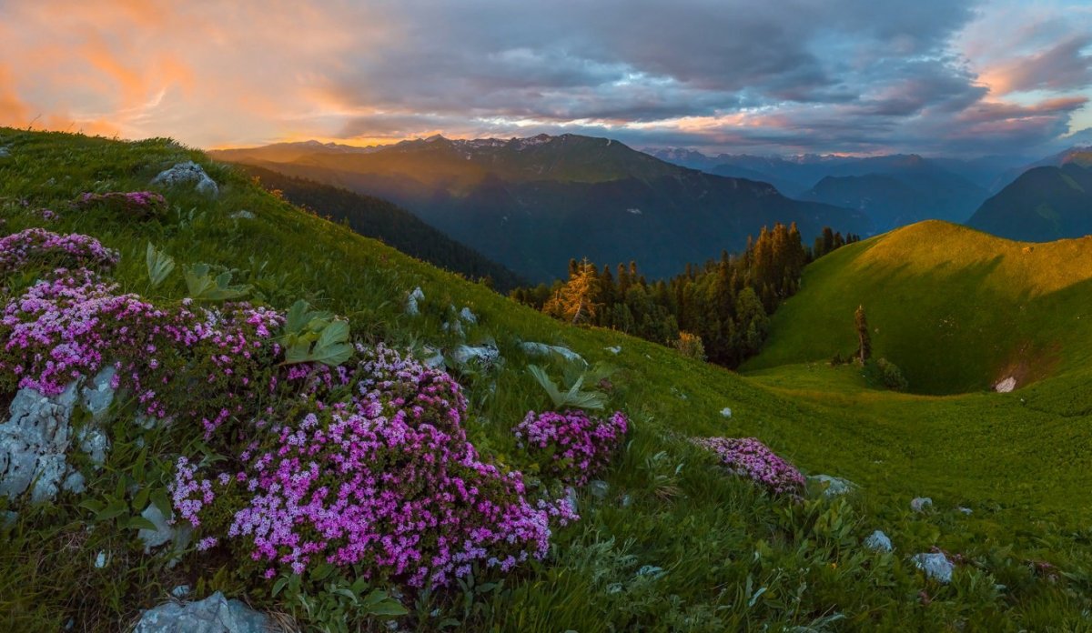 Альпийские Луга Италии