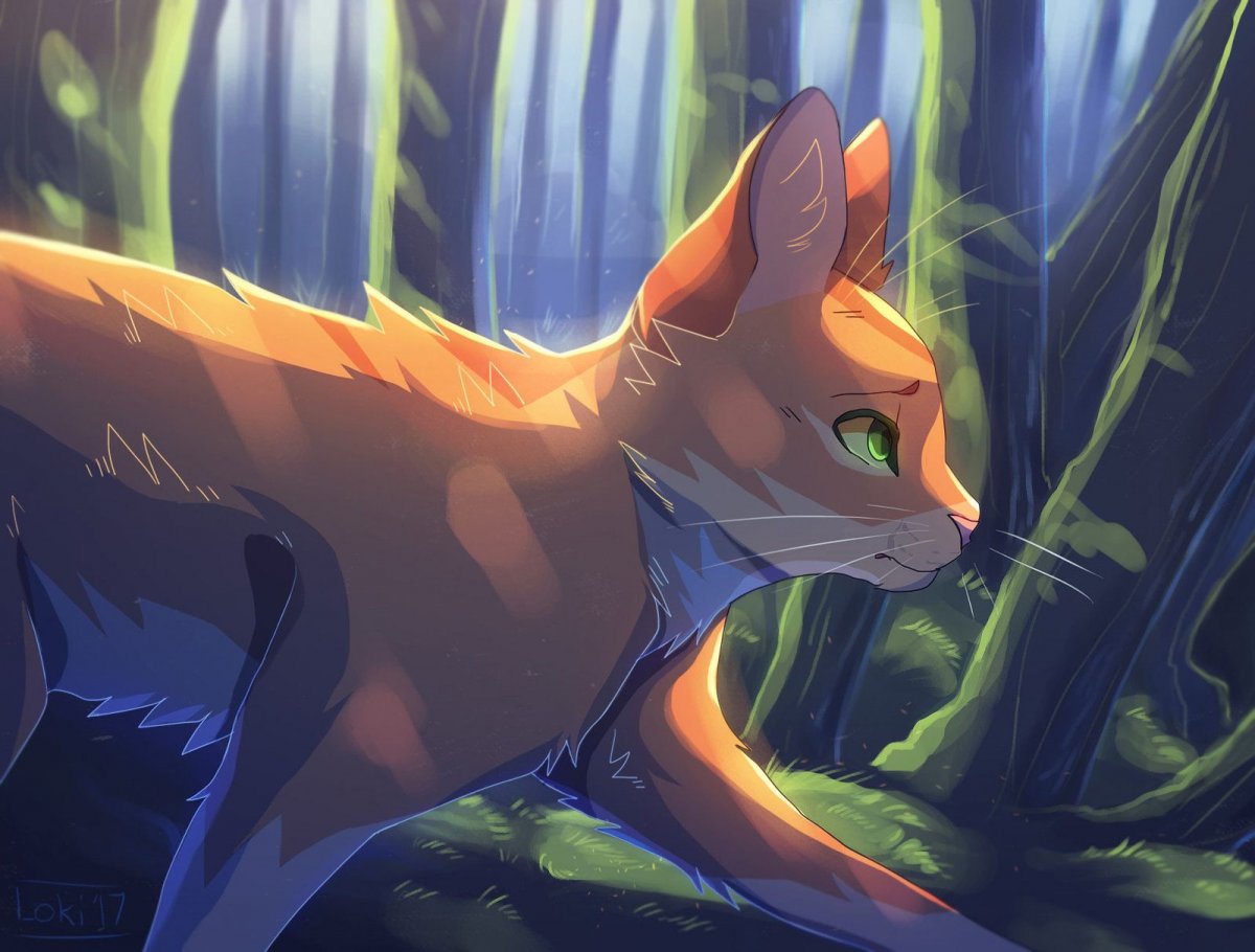 Белка коты воители арты