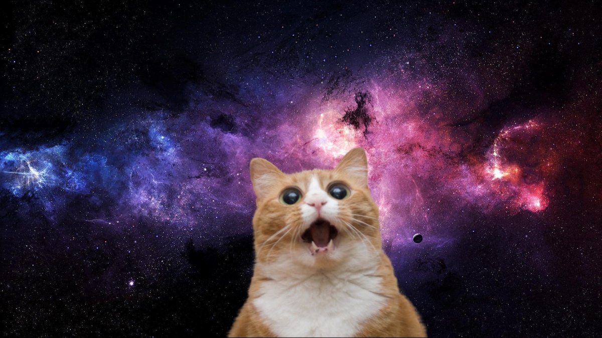 А4 в космосе