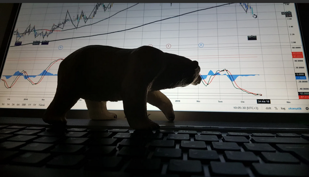 Медведи на бирже