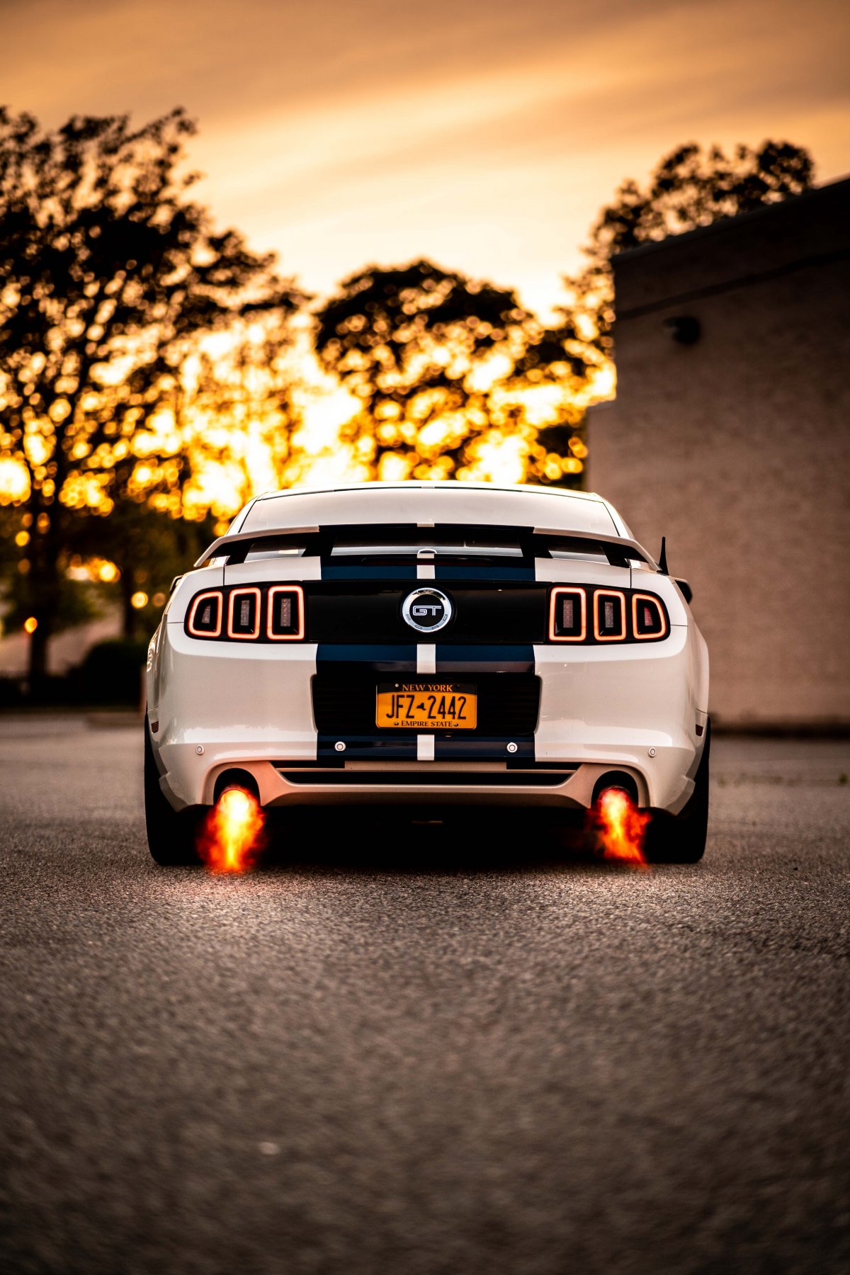 Форд Мустанг Шелби gt 500