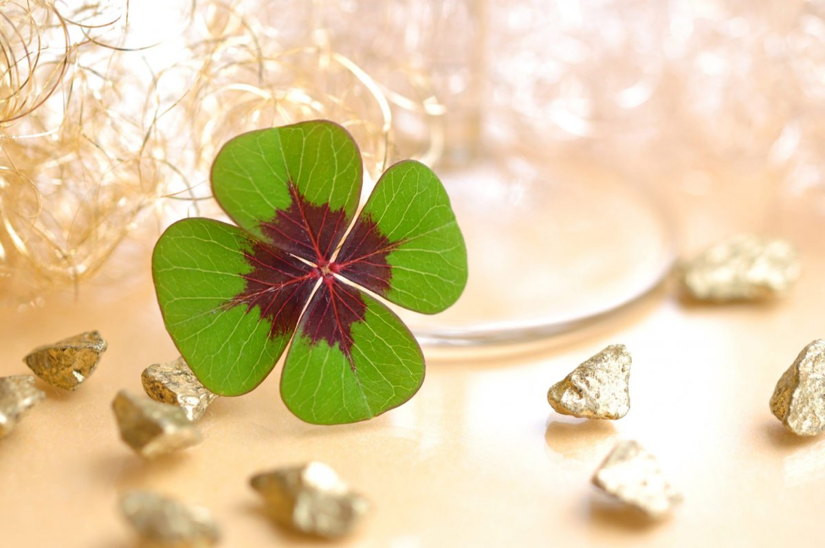 Обои приносящие удачу