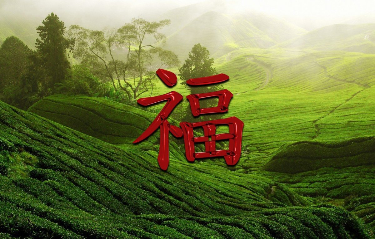 Четырехлистный Клевер HD