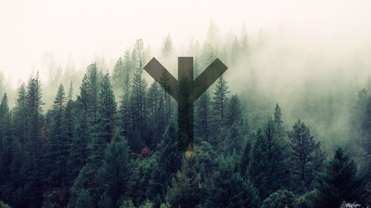 Вегвизир обои на телефон