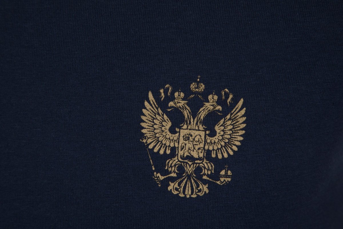 Герб золото на черном фоне