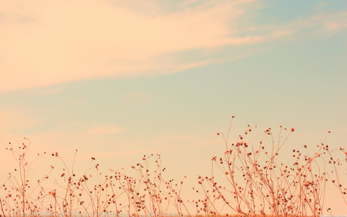 Пастельный фон для презентации