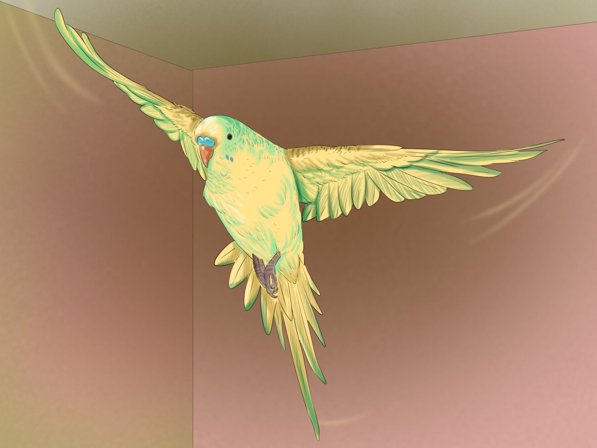 Птицы милые арты