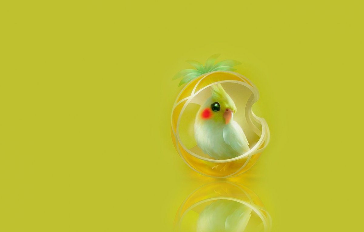 Попугай Минимализм