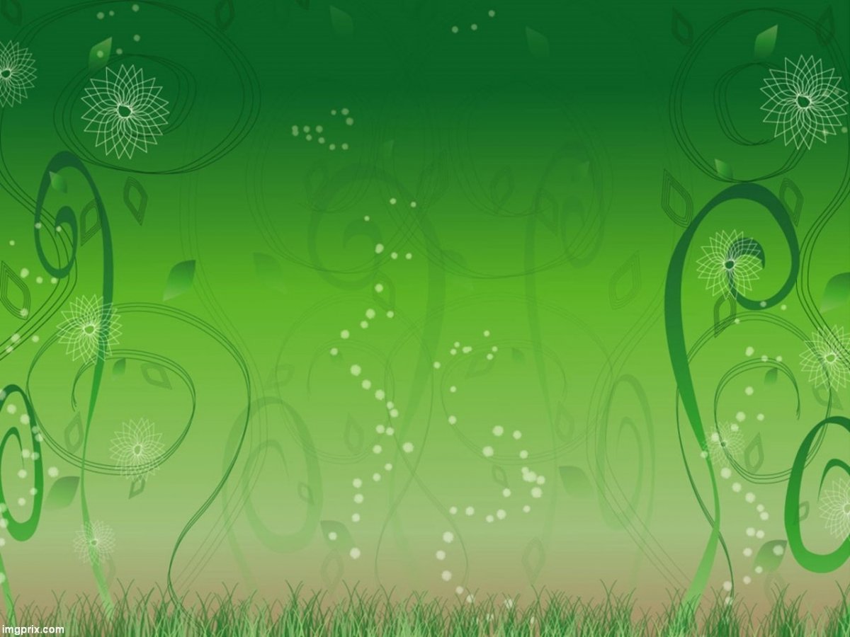 Красивый фон в зеленых тонах