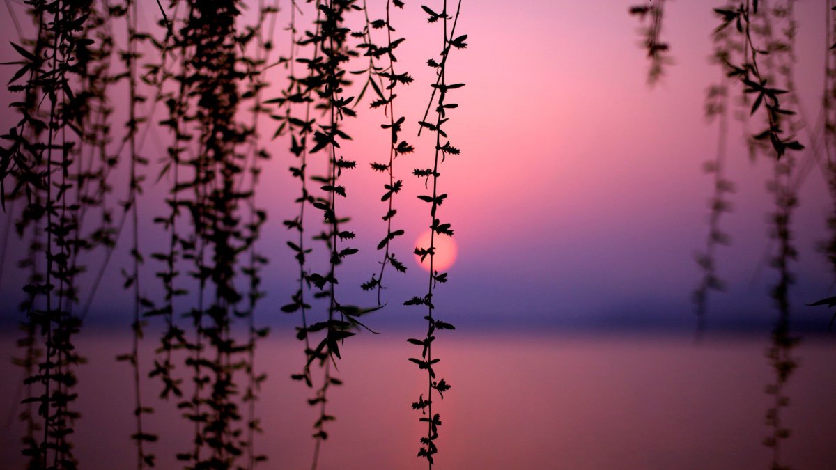 Фон с разводами