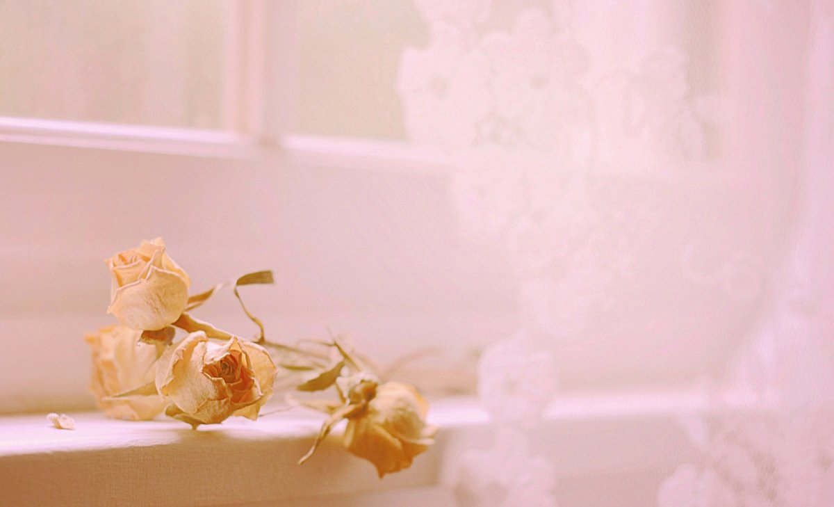 Солнечные лучи Эстетика