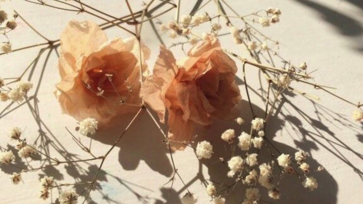 Эстетика бежевого