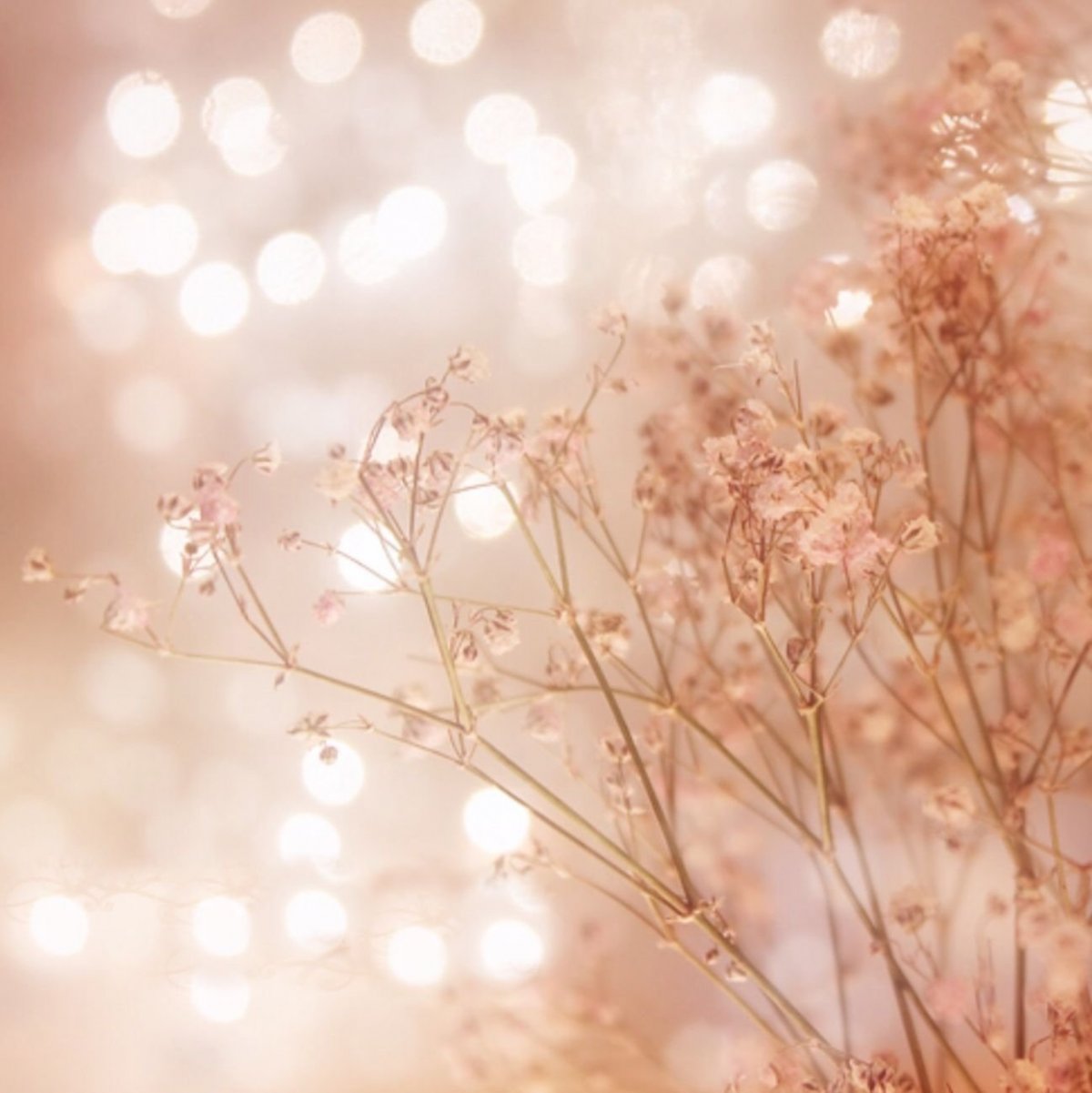 Красивые светлые обои