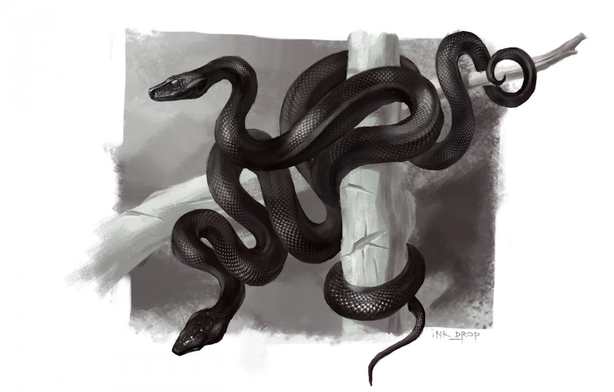 Чёрная мамба змея