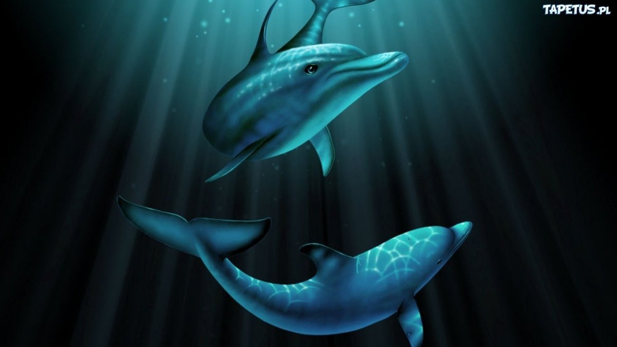 Одинокий Дельфин