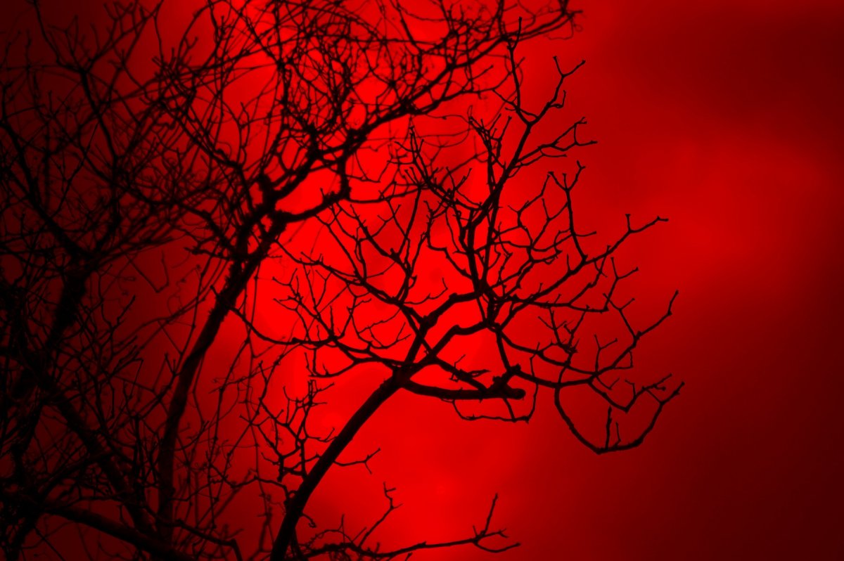 Кроваво красный фон