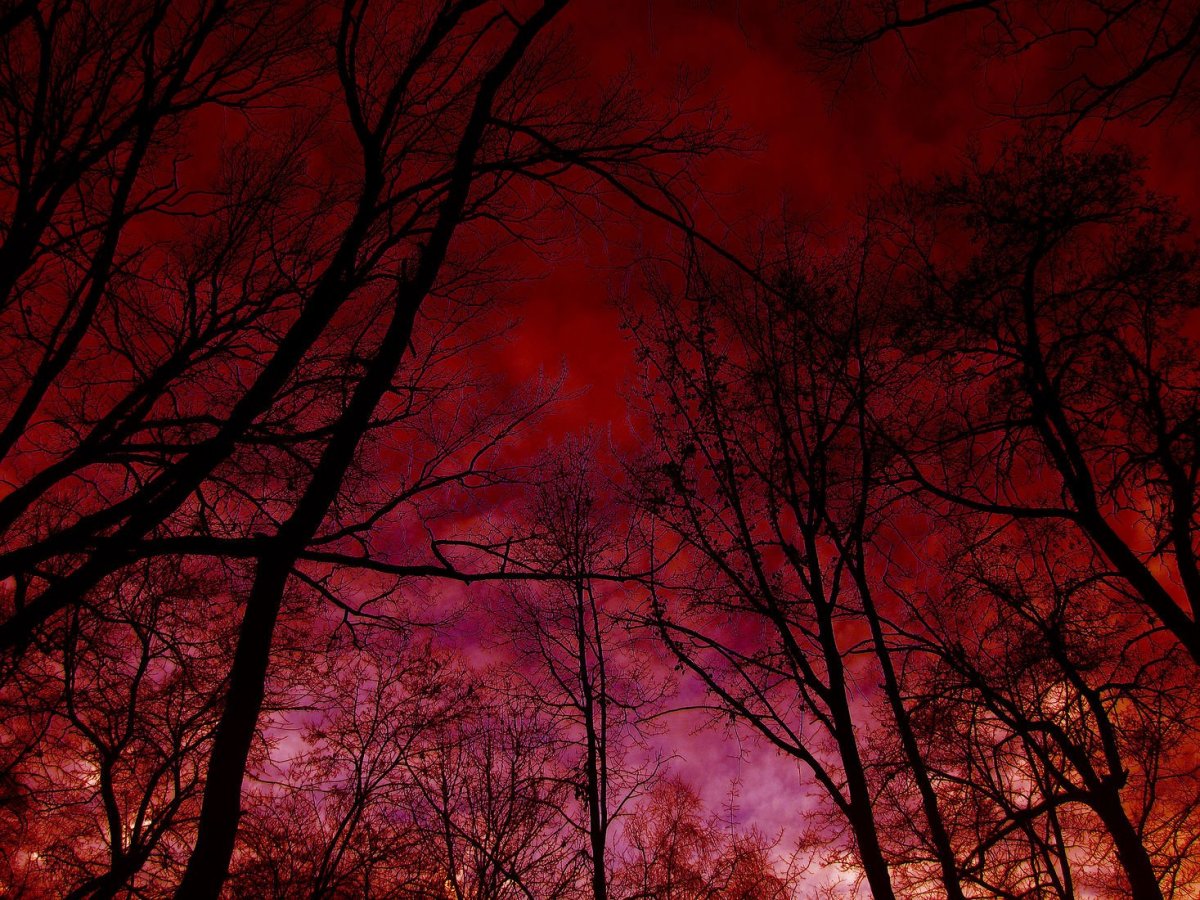 Кроваво красный