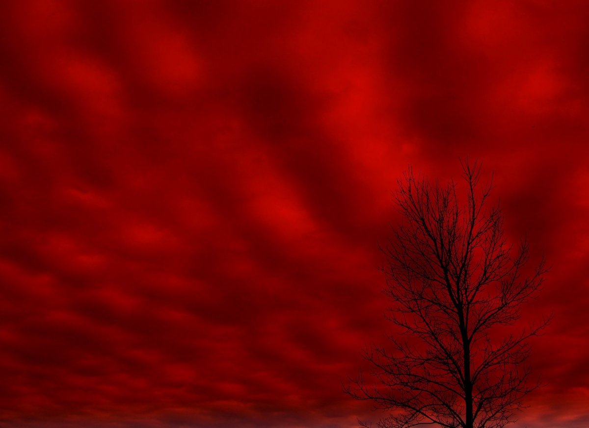 Кровавый фон на клавиатуру