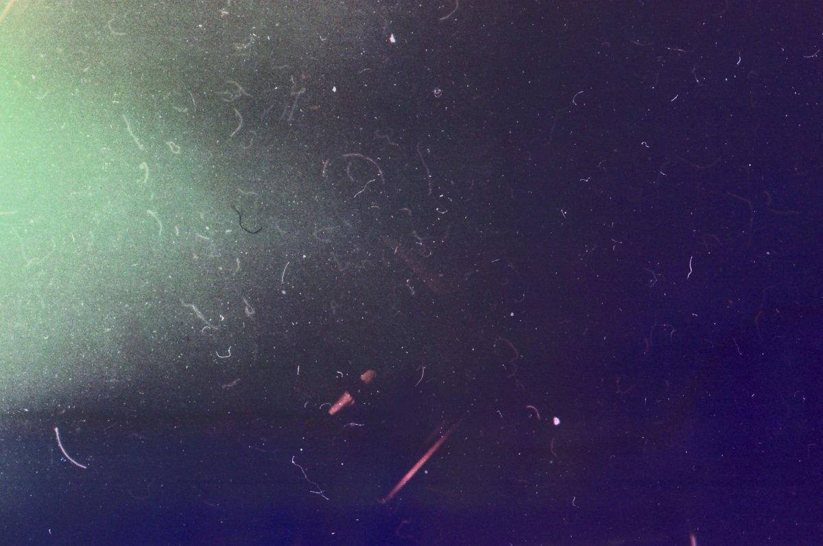 Бензиновая пленка