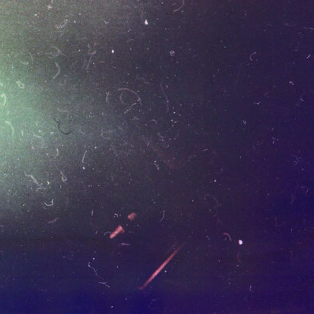 Фотоаппарат Минимализм