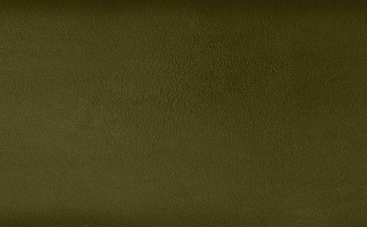 Светло болотный цвет