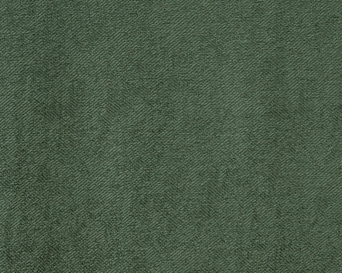 Болотный цвет фон