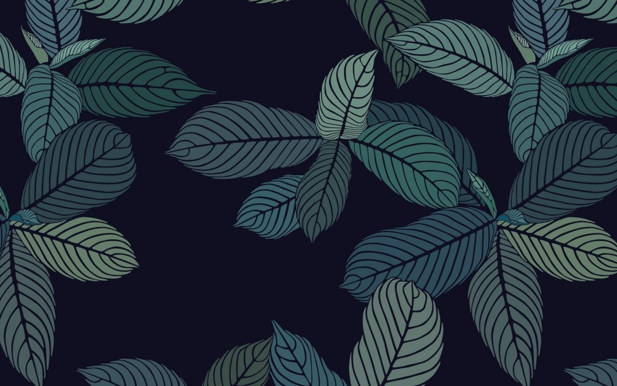 Черный Минимализм